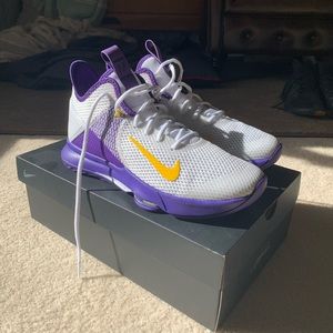 2020 Nike LeBron Witness IV